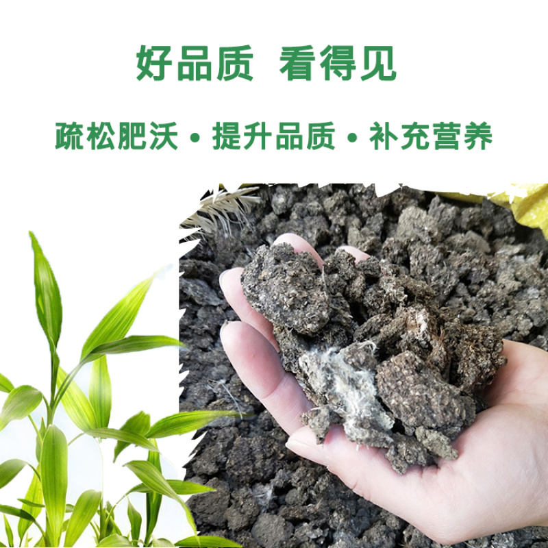 绿沃肥业-晒干纯鸡粪块水泥地晾晒无土无杂肥效好