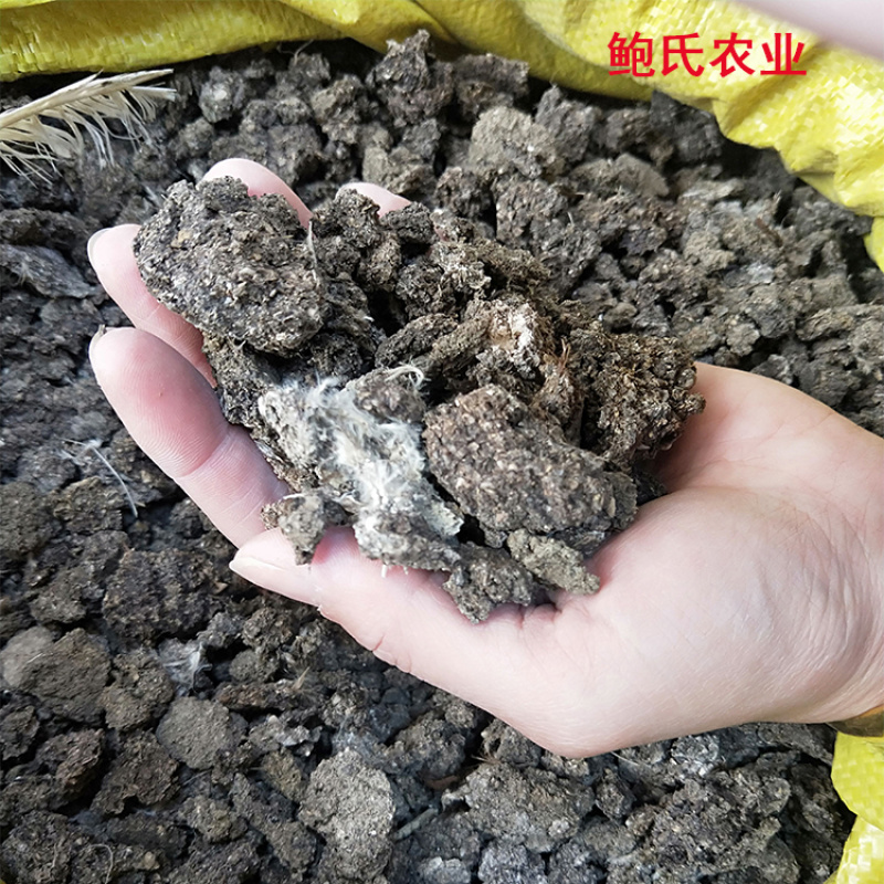 绿沃肥业-晒干纯鸡粪块水泥地晾晒无土无杂肥效好