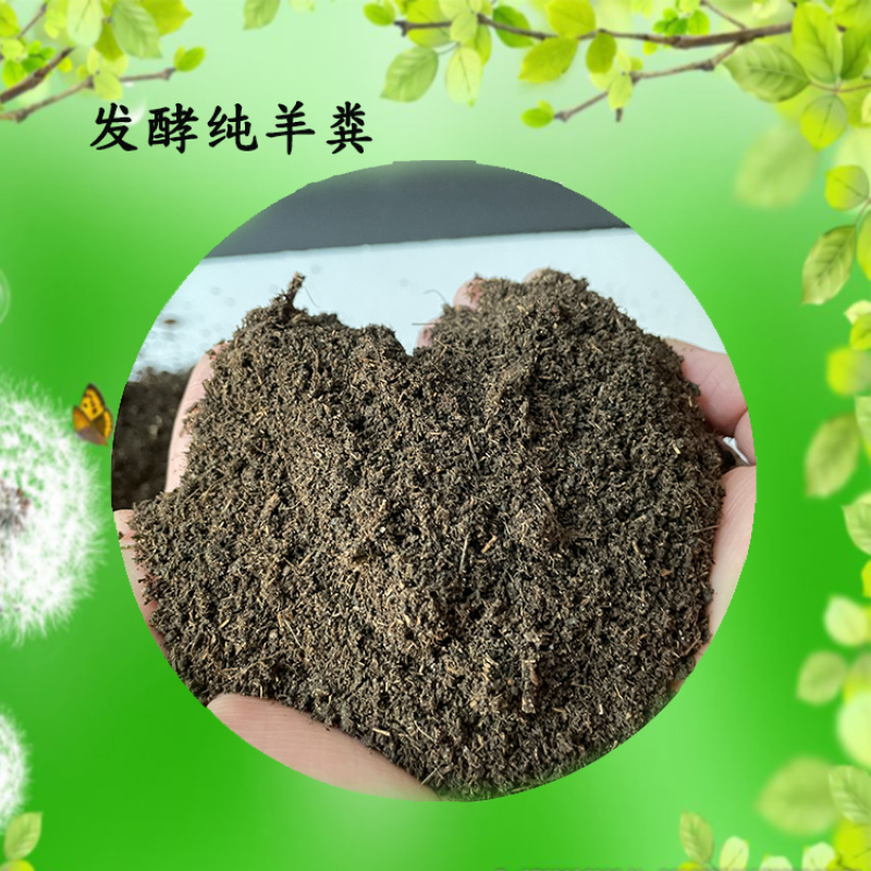 绿沃肥业-发酵羊粪有机肥高温腐熟发酵牲畜粪便肥