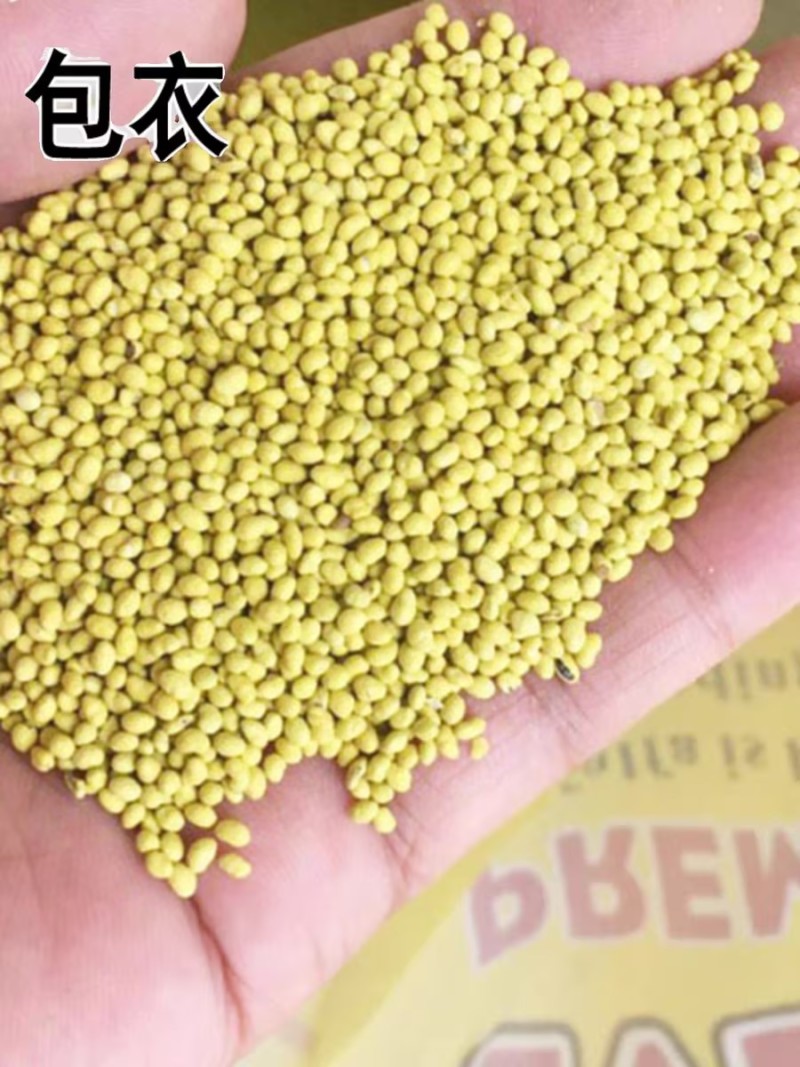 包衣紫云英种子红花草籽食用野菜养蜂蜜源绿肥牧草高产种籽