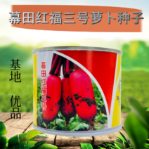 【百幕田种业】红福三号红萝卜种子优质萝卜种籽红皮白肉春秋