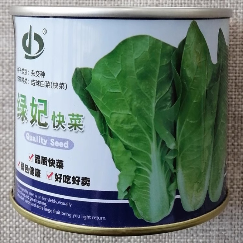 绿妃快菜种子外叶深绿顺厚柔软耐热耐湿生长速度快
