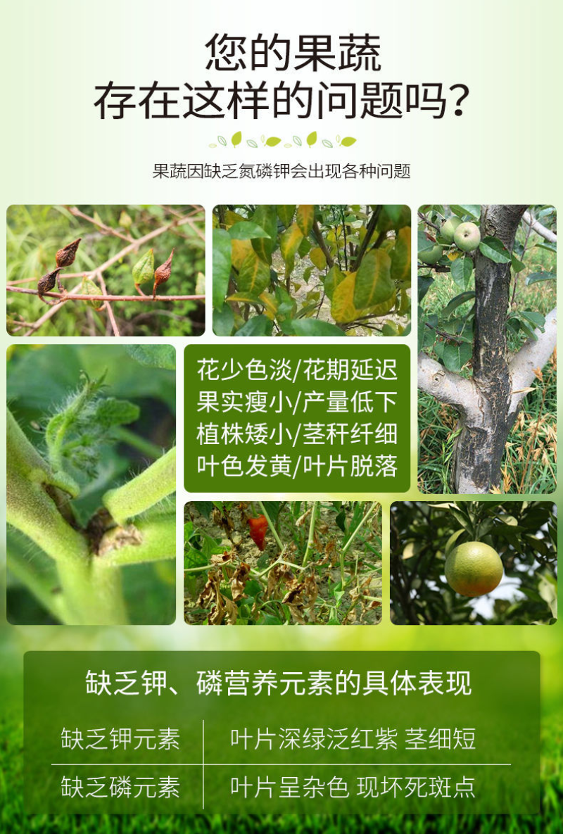 田当家磷酸二氢钾肥料叶面肥正品农用蔬菜类果树通用磷钾肥冲施肥