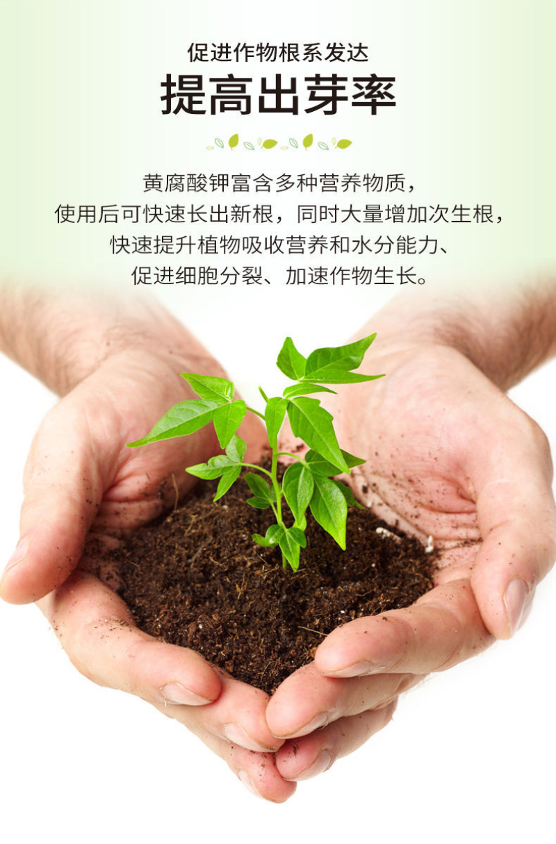矿源黄腐酸钾水溶肥正品农用腐植酸冲施肥生根壮苗剂微生物菌剂肥