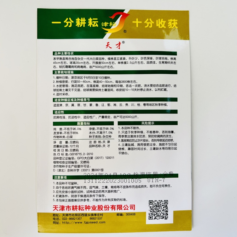 天津大青麻叶种子绿白菜种籽高个竹筒白菜种籽四季蔬菜种孑易