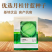 抗热品种基地用种月桂甘蓝种子包菜种子早熟耐热品种6月可种