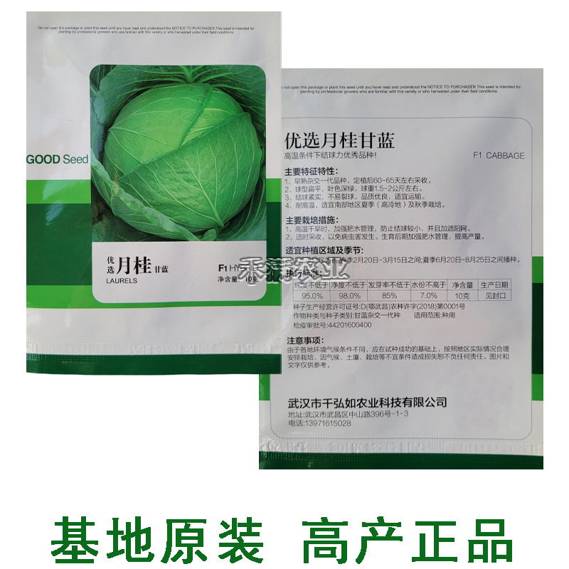 抗热品种基地用种月桂甘蓝种子包菜种子早熟耐热品种6月可种