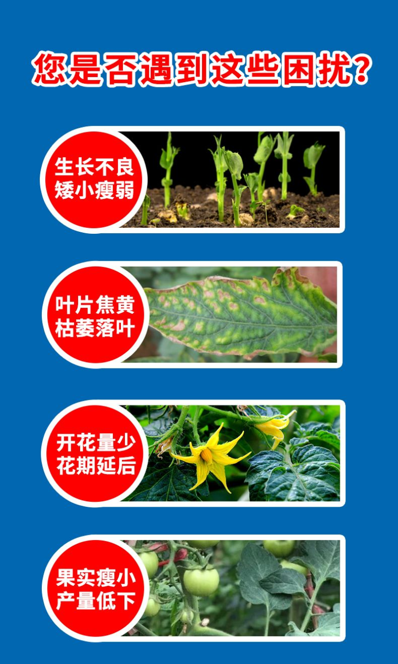 正品磷酸二氢钾叶面肥农用速溶磷钾肥蔬菜果树花卉通用肥料花肥