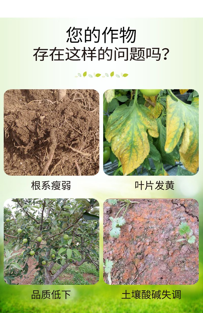 矿源腐植酸钾结晶腐殖酸钾肥正品农用有机缓释颗粒肥果树蔬菜通用