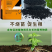 矿源腐植酸钾结晶腐殖酸钾肥正品农用有机缓释颗粒肥果树蔬菜通用