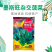 菠菜种子墨斯旺菠菜种子圆叶黑亮菠菜肉厚抗病耐寒杂交菠菜种