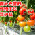EDTA螯合微量元素正品铁锌铜锰硼多元素水溶肥果树蔬菜通用叶面肥