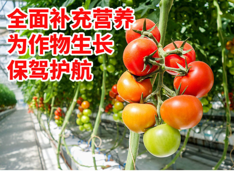 EDTA螯合微量元素正品铁锌铜锰硼多元素水溶肥果树蔬菜通用叶面肥