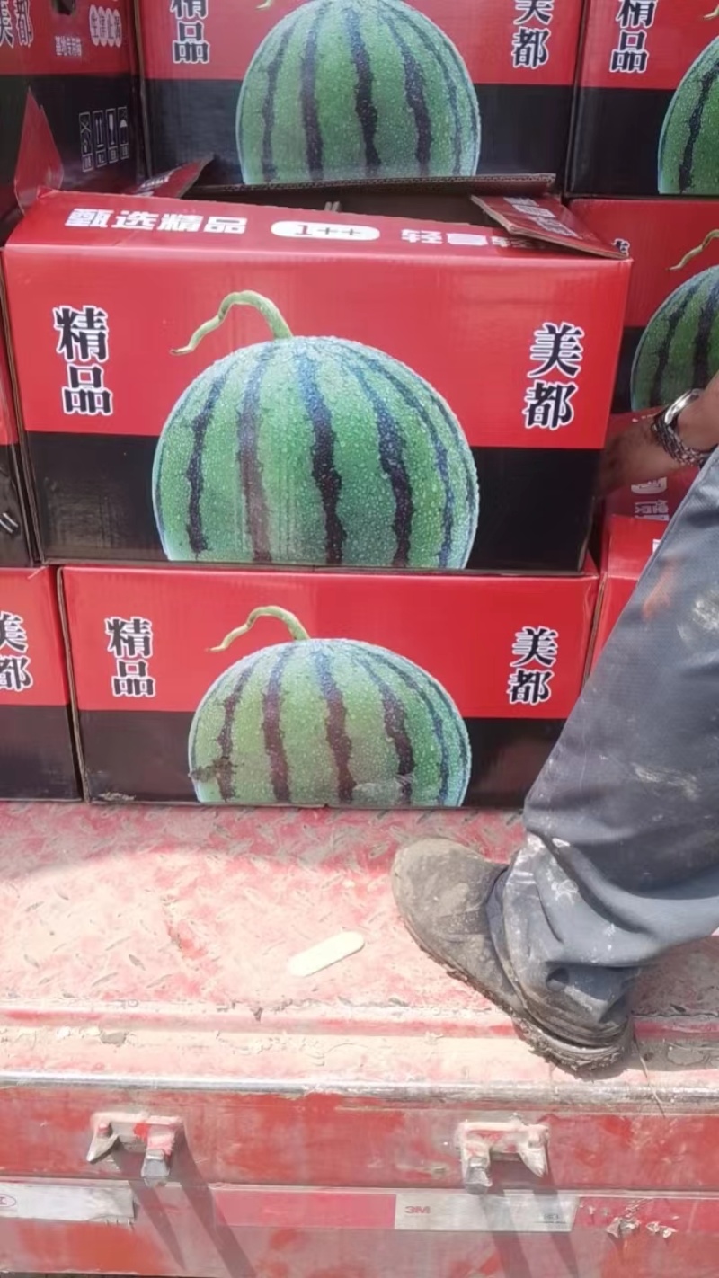 【8424西瓜】四川基地直供质量保证一手货源皮薄汁甜