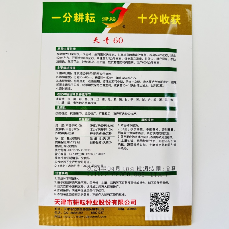 天津青麻白菜种子天青60秋菜高产抗高桩病直筒青麻叶大