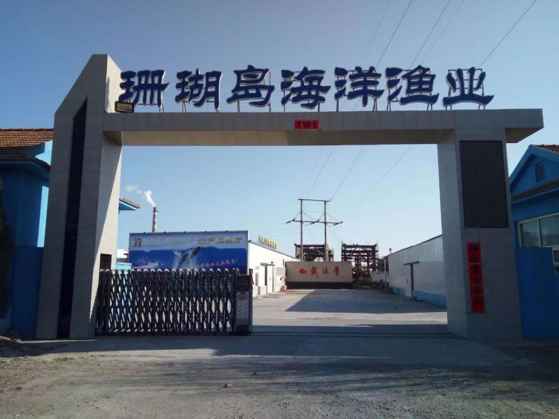 瑶贝【贝柱】大连海产品基地直供质量保证规格齐全欢迎订购