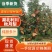【精品秋月梨】新品上市现摘现发脆甜可口代发全国价优