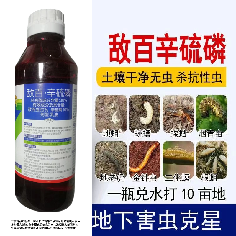 敌百辛硫磷小菜蛾甜菜夜蛾红白蜘蛛蓟马稻飞虱斜纹夜蛾棉铃虫