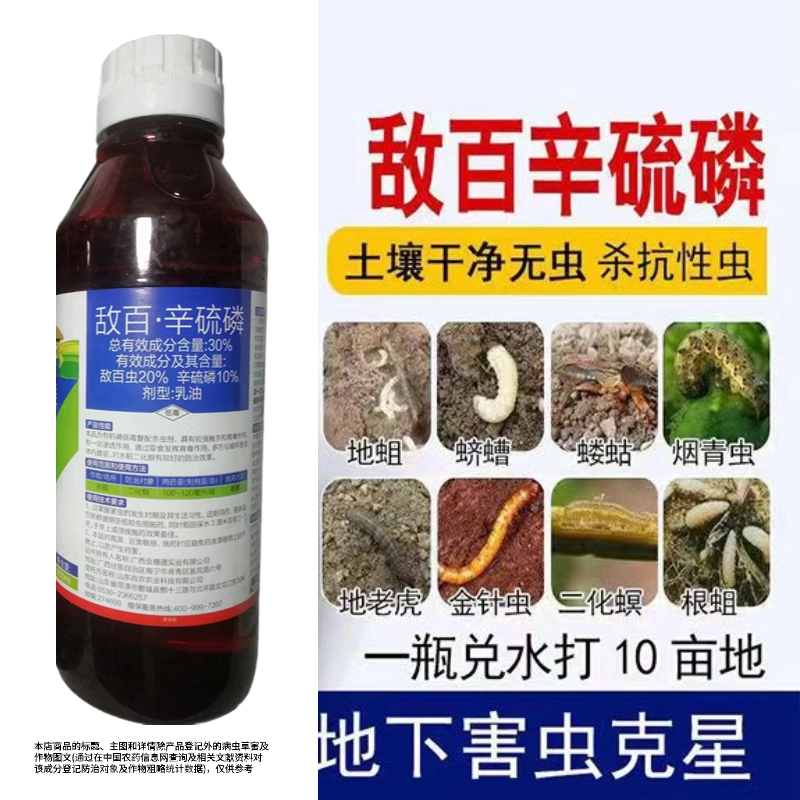 敌百辛硫磷小菜蛾甜菜夜蛾红白蜘蛛蓟马稻飞虱斜纹夜蛾棉铃虫