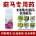 蓟满地抗性蓟马专用杀虫剂花蓟马黄蓟马黑蓟马蓟马虫卵杀虫