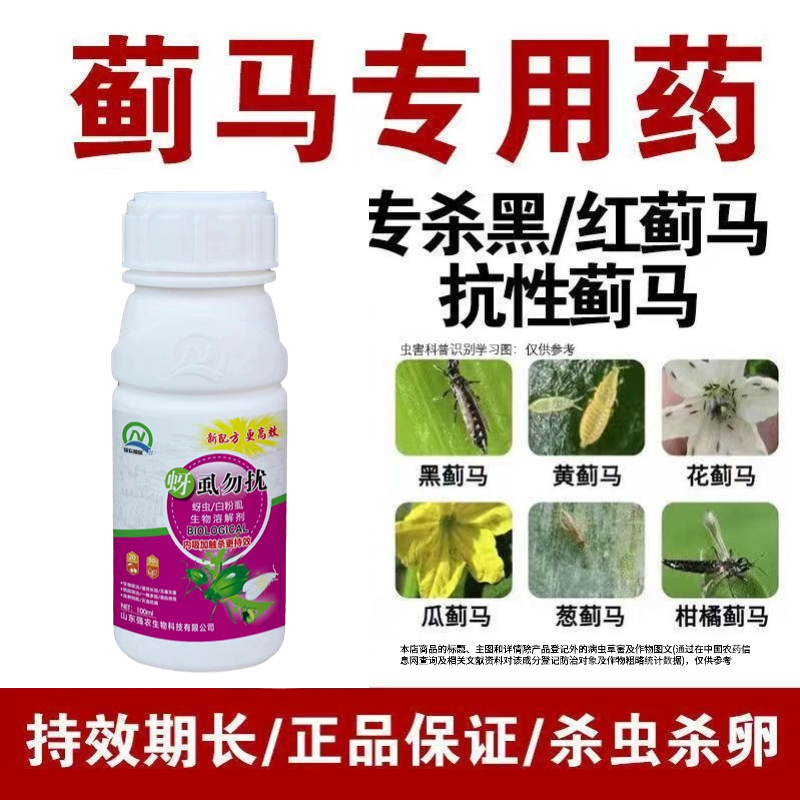 蓟满地抗性蓟马专用杀虫剂花蓟马黄蓟马黑蓟马蓟马虫卵杀虫