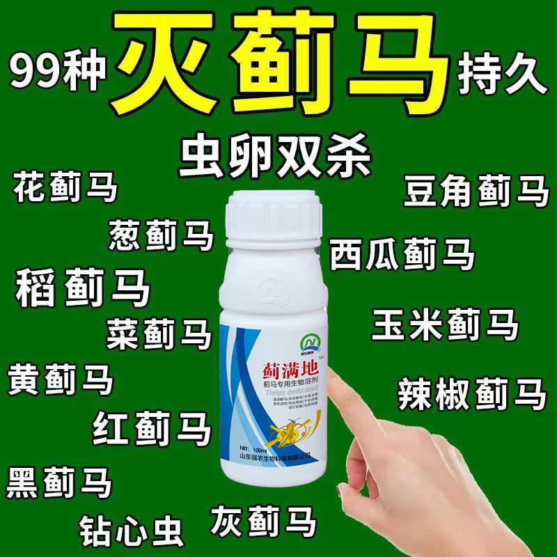 蓟满地抗性蓟马专用杀虫剂花蓟马黄蓟马黑蓟马蓟马虫卵杀虫