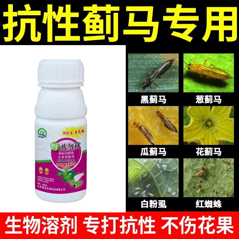 蓟满地抗性蓟马专用杀虫剂花蓟马黄蓟马黑蓟马蓟马虫卵杀虫