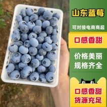 蓝莓克莱西蓝莓规格齐全头茬果货量不多一件代发