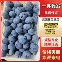 蓝莓山东莱克西蓝莓规格齐全头茬果货量不多一件代发