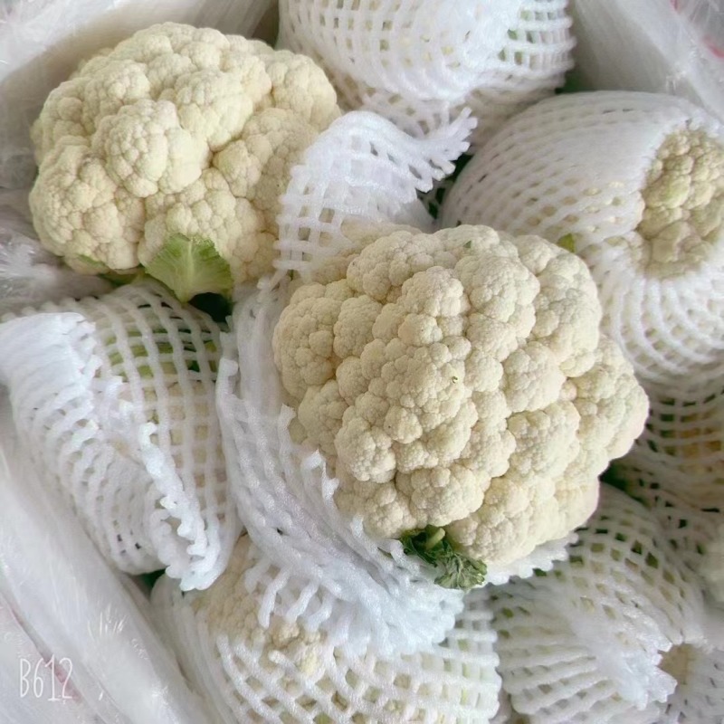 精品白花菜花新品上市质量保证品种纯正假一赔十