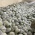 精品白花菜花新品上市质量保证品种纯正假一赔十
