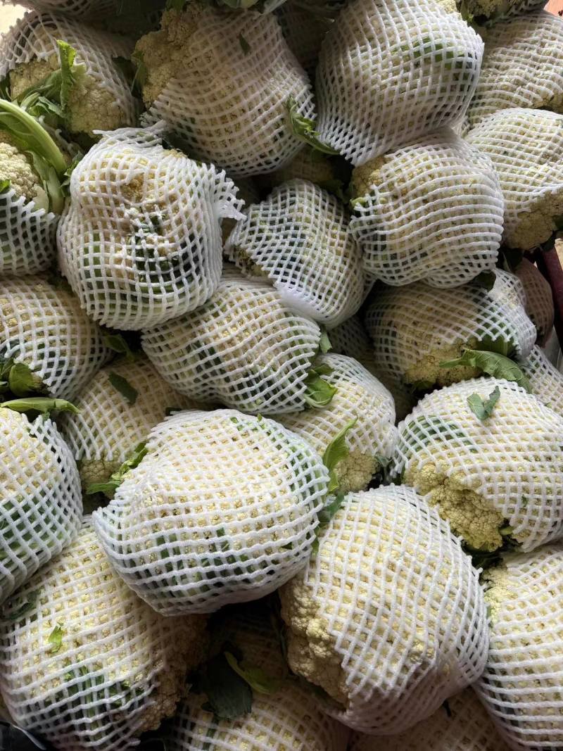 精品白花菜花新品上市质量保证品种纯正假一赔十