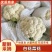 精品白花菜花新品上市质量保证品种纯正假一赔十