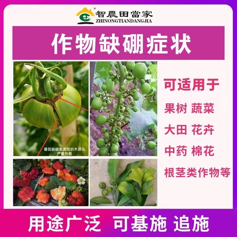 颗粒硼肥料缓释硼肥预防病毒黄叶促进开花坐果农用撒施底肥叶面肥
