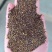 薰衣草种子籽庭院盆栽驱蚊虫香草花种子花种孑重瓣除虫播种留兰香