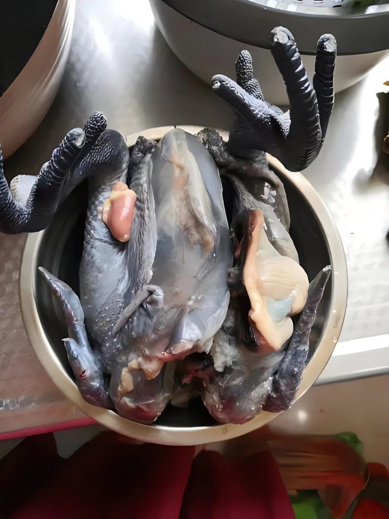 鸡.乌骨鸡活鸡散养跑山乌骨鸡自由觅食为主、一只起批