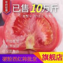 河南硬粉西红柿，发往全国大小市场电商超市保质保量