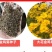 金鸡菊种子大花多年生四季种易活金鸡菊花籽景观花卉花海花种子