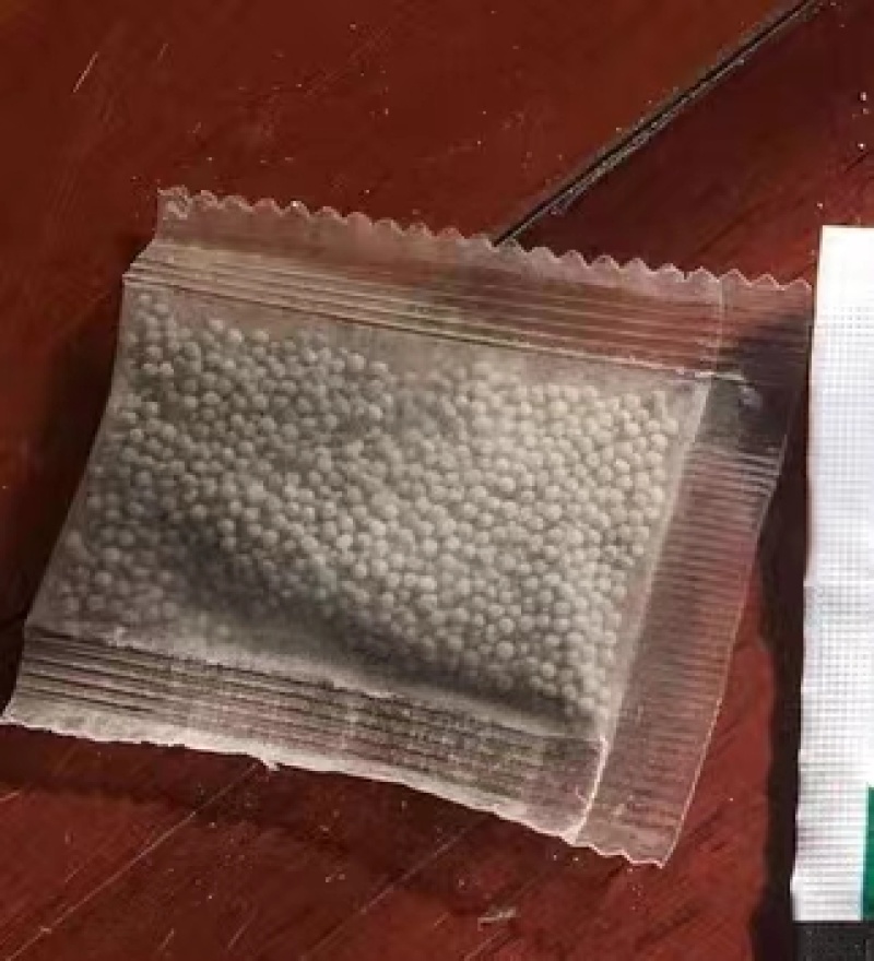 花菱草种子四季播种开花种籽子耐寒多年生庭院花籽室内外阳台盆栽