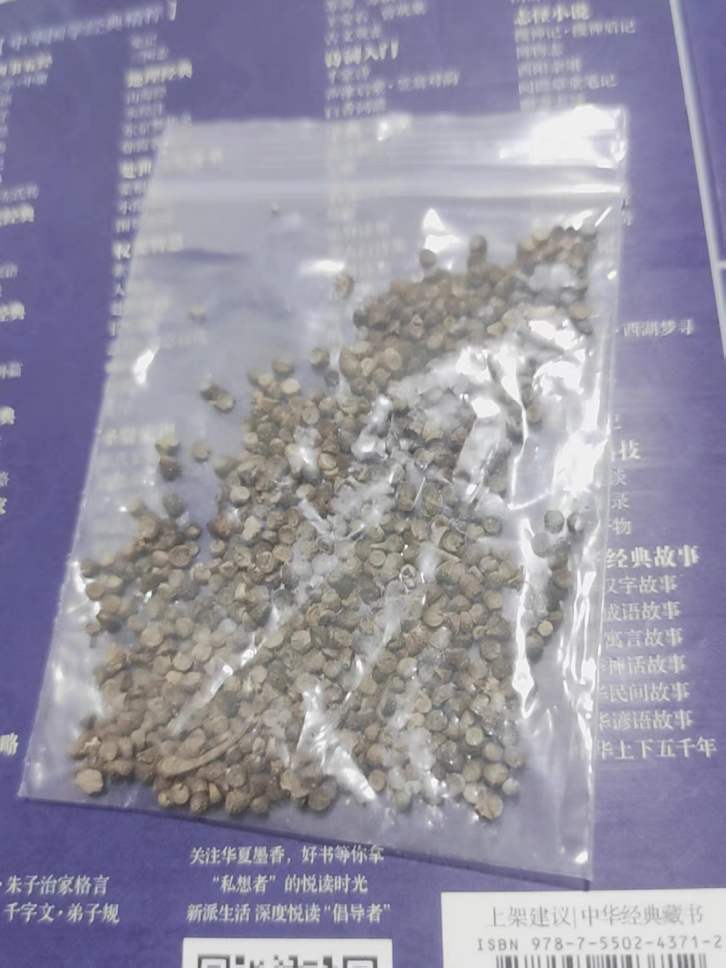 花种子锦葵花卉种子锦葵花种籽子四季易活高杆庭院花海种籽