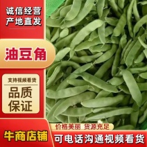 吉林油豆角大量上市，质量好价格美丽全国代发欢迎采购