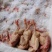 【优质白条鸽】肉质嫩营养价值高个头大代发全国价优