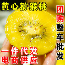 【24年】一件代发黄心猕猴桃金果新鲜水果奇异果四川弥猴桃