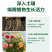 植挥官肥料高磷高钾花卉绿植蔬菜瓜果果树大量元素水溶肥料