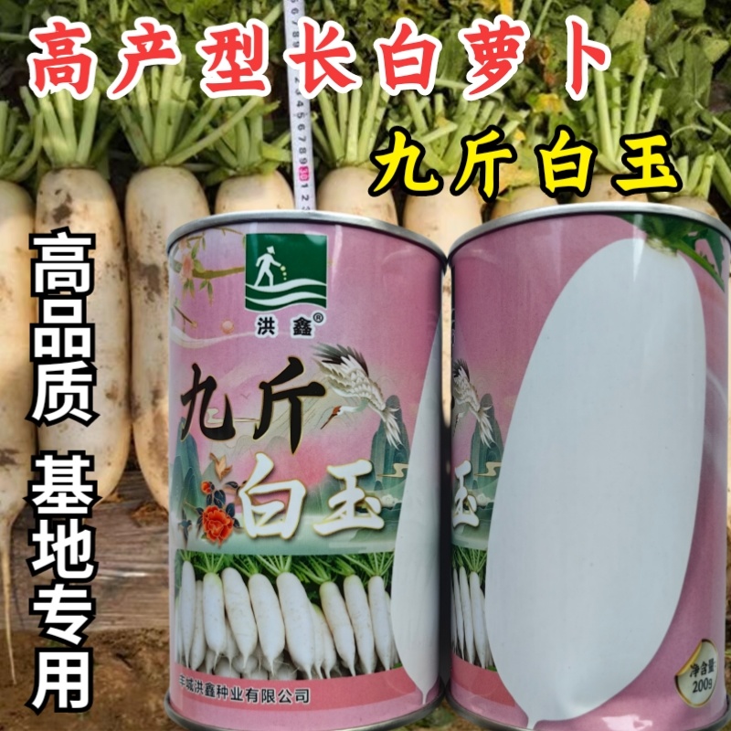 春不老南畔洲白萝卜种子口感脆甜耐抽苔耐寒味甜