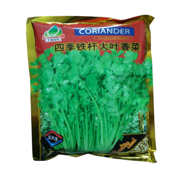 四季铁杆大叶香菜种子耐热耐寒晚抽苔铁杆青芫荽种子