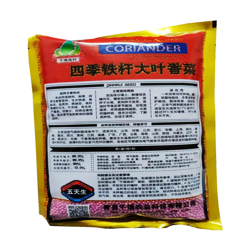 四季铁杆大叶香菜种子耐热耐寒晚抽苔铁杆青芫荽种子