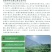 张家界莓茶特级野生龙须芽尖野生藤茶土家神茶茅岩莓茶
