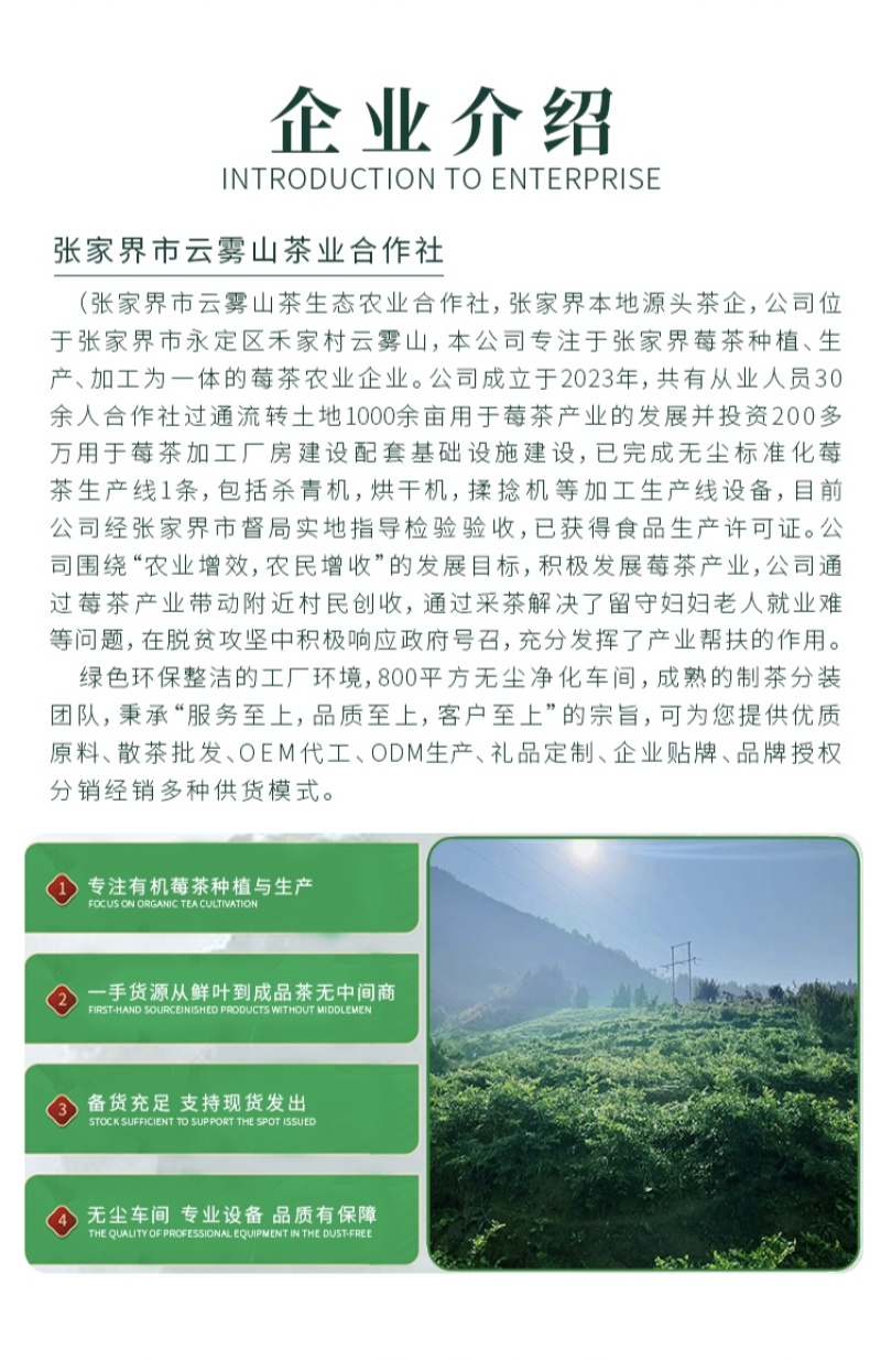 张家界莓茶特级野生龙须芽尖野生藤茶土家神茶茅岩莓茶