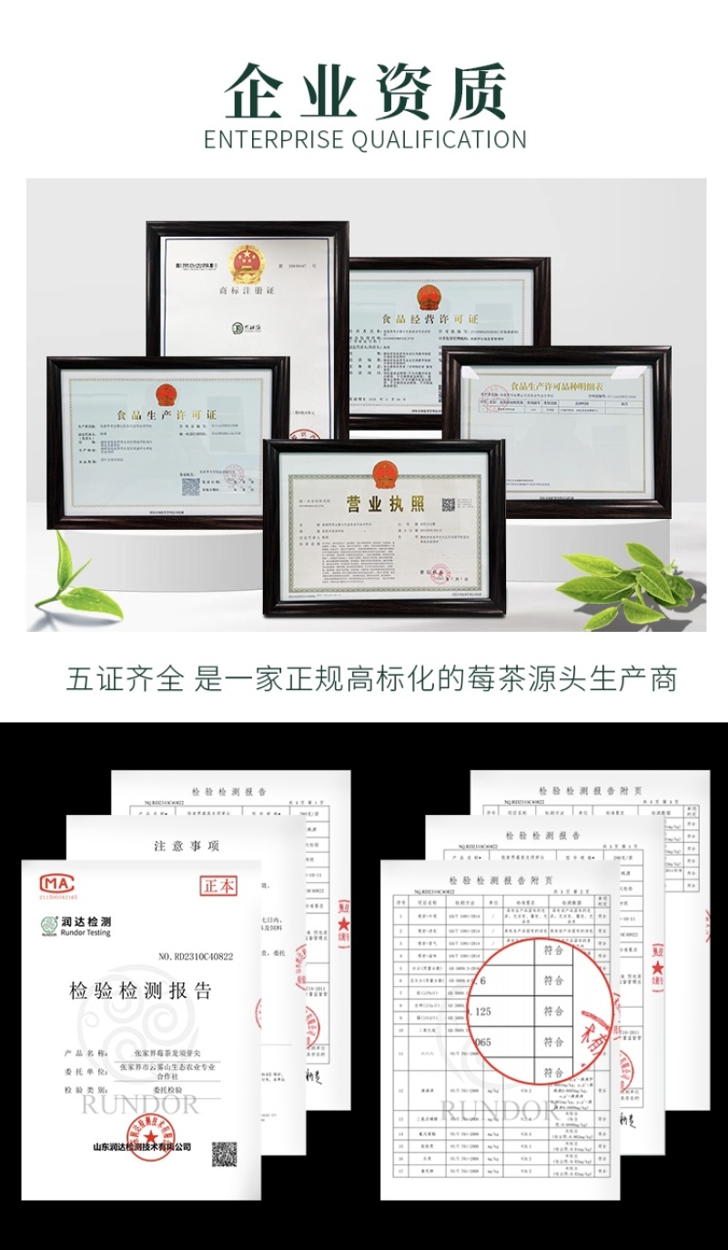 张家界莓茶特级野生龙须芽尖野生藤茶土家神茶茅岩莓茶